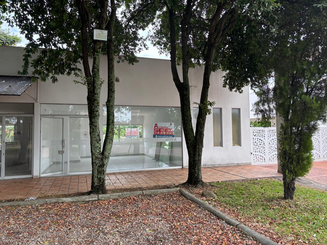 ARRIENDO LOCAL COMERCIAL BOSQUES DE CANTABRIA - Image 2